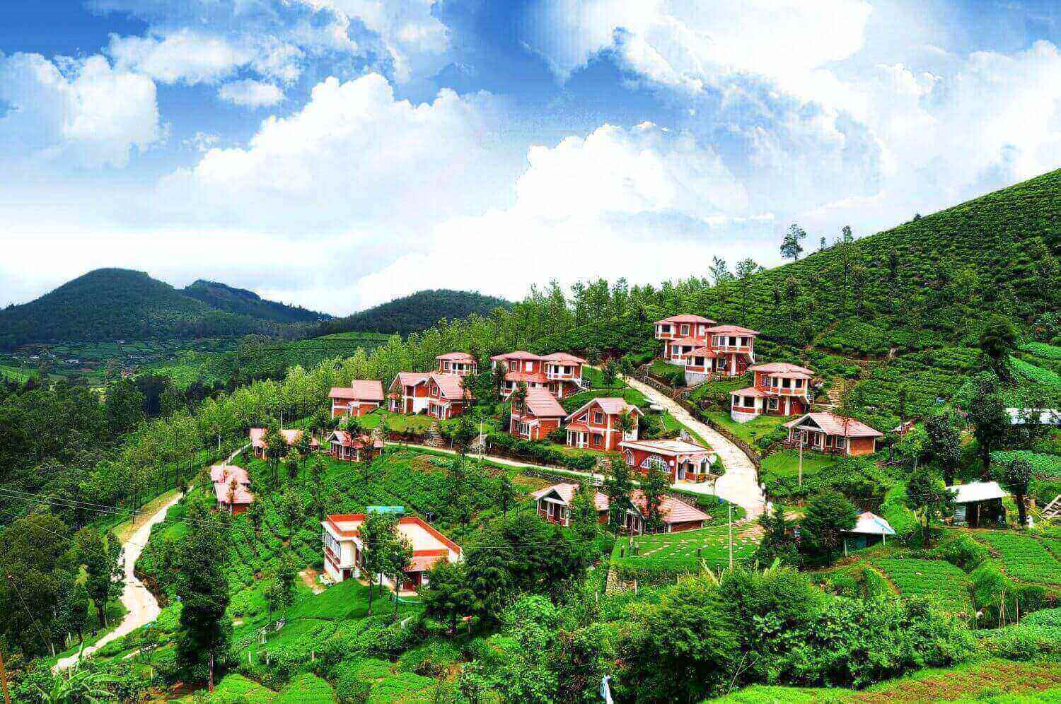 Amazing Munnar with Ooty tour packages 